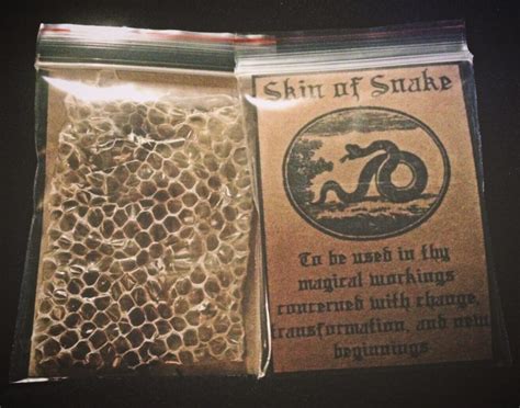 snake skin shed – Ye Olde Witchcraft Shoppe