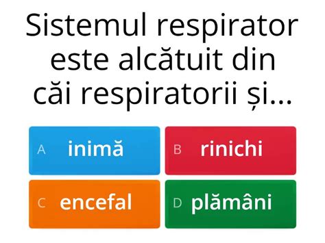 Sistemul respirator - Quiz