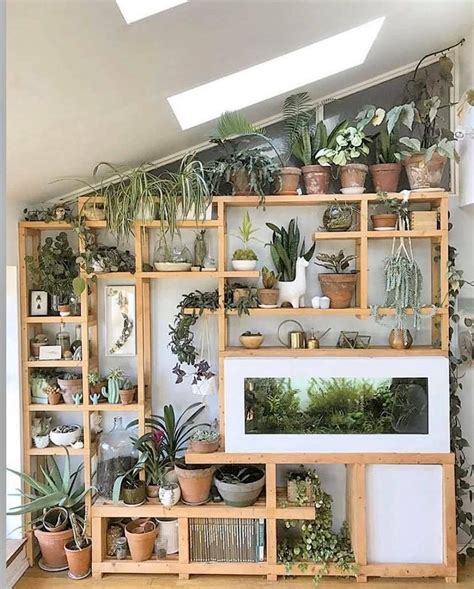 @luoluv | Indoor plant wall, Plant decor indoor, Indoor plant shelves