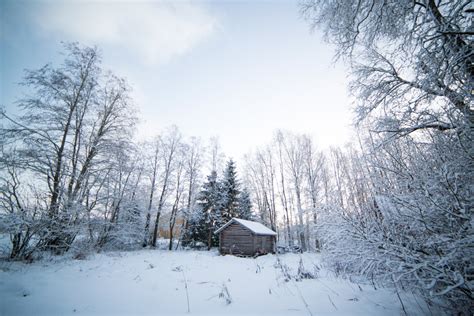 Snow Whisperer, Finland | Viva La Vita