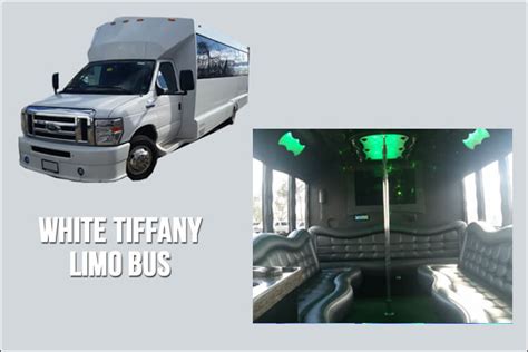 Deluxe Limo and Party Bus | Party Bus Rentals in Toronto