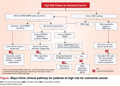 HNPCC | The Family History of Bowel Cancer Clinic