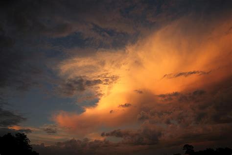 Intimidation at Work Photograph by Brian Spratley | Fine Art America