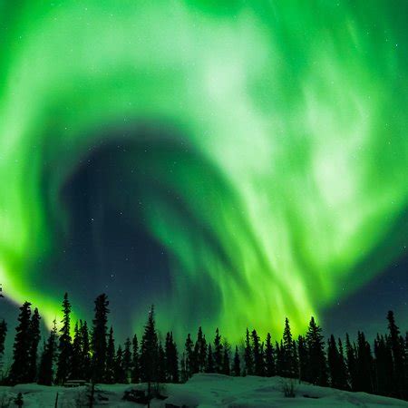 The Aurora Borealis Experience - Day Tours (Yellowknife) - All You Need ...