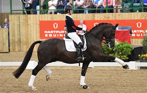 ‘Every inch a superstar’: Valegro wows fans with special appearance - Horse & Hound