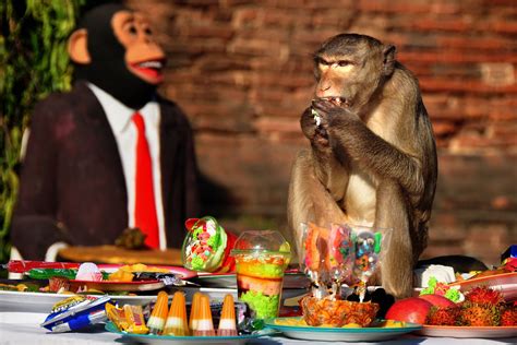 Eat Like a Monkey in Lopburi - Trazee Travel | Lopburi, Festival, Buffet