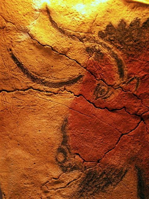 Altamira cave paintings – Artofit