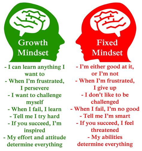 Why We Should All Try to Have a Growth Mindset - PositLive