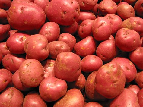 Red Potato, FREE Stock Photo, Image, Picture: Potatoes, Tubers, Royalty ...