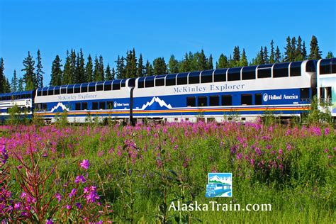 McKinley Explorer Dome Train Service | AlaskaTrain.com