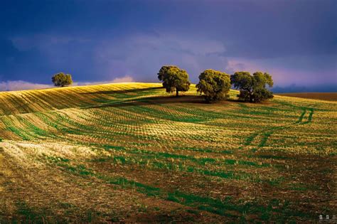 Cultivated land, Spain