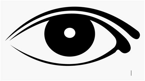 Eyeball Png Free - Human Eyes Clipart Black And White, Transparent Png ...