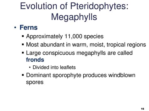 Biology Sylvia S. Mader Michael Windelspecht - ppt download