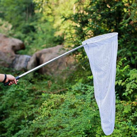 Amazon.com: Telescopic Butterfly and Insect Nets for Catching Insects Bugs, Stainless Steel ...