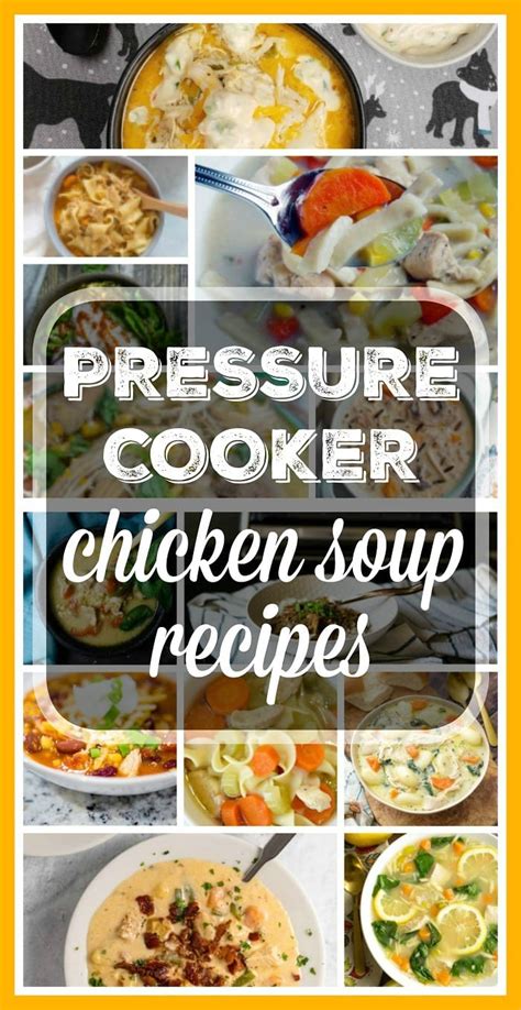 Pressure Cooker Chicken Soup Recipes · The Typical Mom