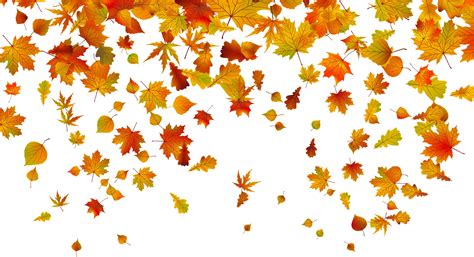 Free Fall Leaves Clipart, Download Free Fall Leaves Clipart png images, Free ClipArts on Clipart ...