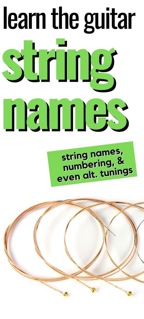 Guitar String Name Mnemonic Acronyms Theguitarlessoncom