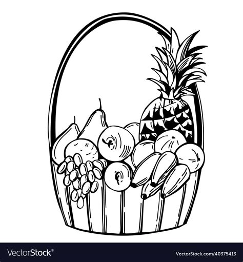 Fruit basket Royalty Free Vector Image - VectorStock