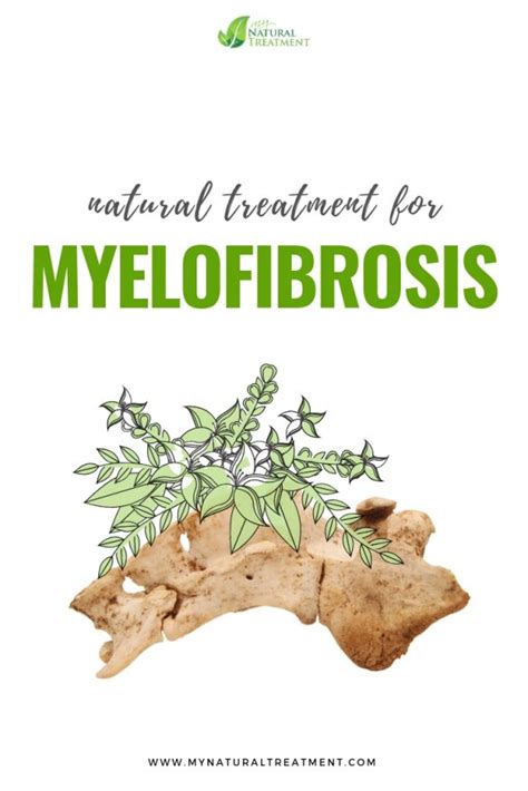 Natural Treatment for Myelofibrosis with 3 Ingredients