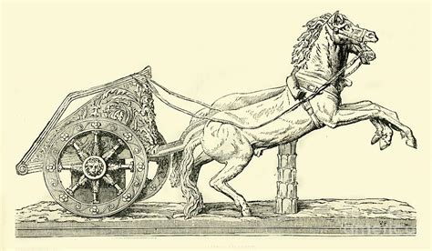 Roman Racing Chariot Drawing by Print Collector - Fine Art America