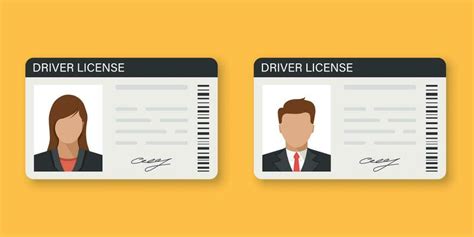 Driving License Vector Art, Icons, and Graphics for Free Download