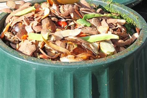 Contents Of A Compost Bin. Recycling Vegetable Waste. Stock Photo - Image: 61979333