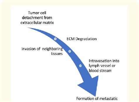 Basic stages of metastasis. | Download Scientific Diagram