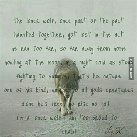 I am a loner wolf #poem - 9GAG