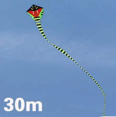 free shipping high quality 30m snake kite cobra kite with reel line ...