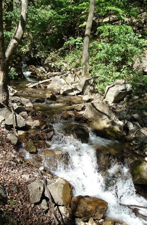 Mountain stream Free Photo Download | FreeImages