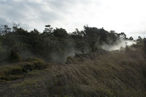 Top Trails and Hikes In and Near Volcano National Park : Volcano Village Lodge