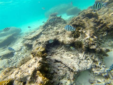 Snorkeling the Perhentian Islands, Malaysia – Planet and Go