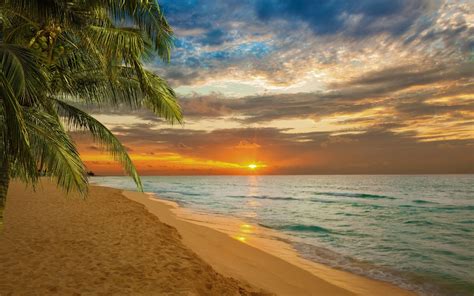 Plage tropicale - coucher de soleil - Fond d'écran Ultra HD