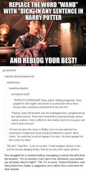 Harry Potter Memes Hermione And Harry