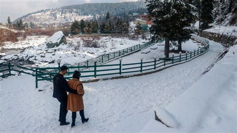 Fresh snowfall in Kashmir Valley - Hindustan Times