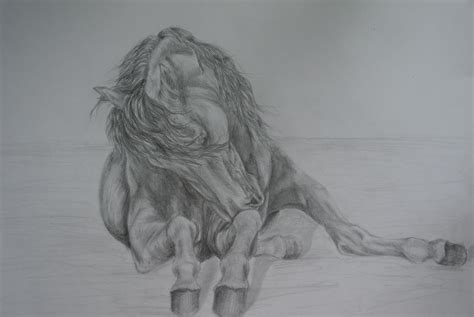 Graphite horse drawing- laying down by pencilwarrior2509 on DeviantArt