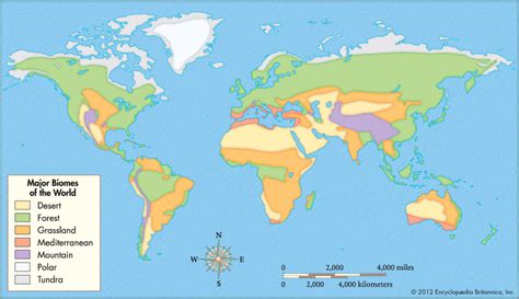 Major Biomes Of The World Map - Zip Code Map