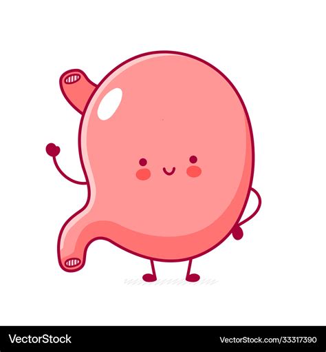 Cute happy funny stomach organ Royalty Free Vector Image