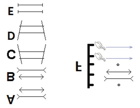 Stimuli and methods. A, B-two versions of the Muller-Lyer illusion ...