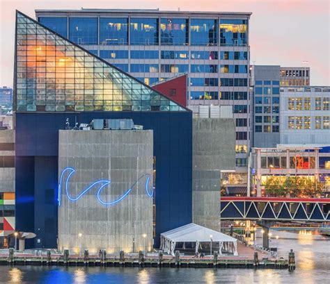 Things to Do in Baltimore - National Aquarium