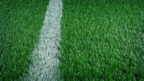 281 Astroturf Stock Video Footage - 4K and HD Video Clips | Shutterstock