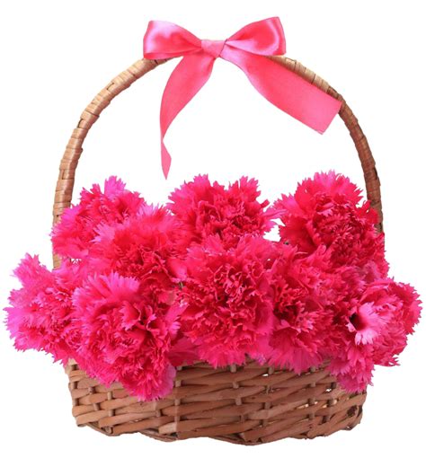 Send 24 Pink Color Carnations Basket to Philippines,Philflorist.com