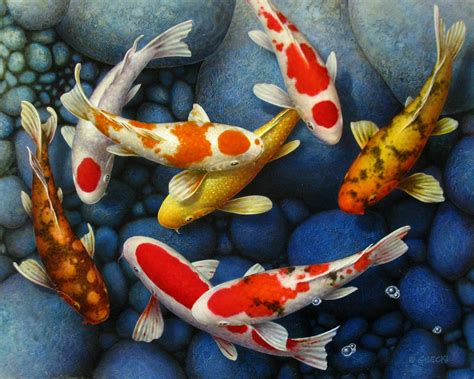 Japanese Koi Fish Paintings - Koi+art | Bodenewasurk