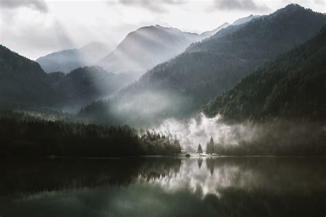 Foggy Lake Pictures | Download Free Images on Unsplash