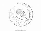 Melons Cut Coloring Page For Kids  Free Melon Printable Pages sketch template