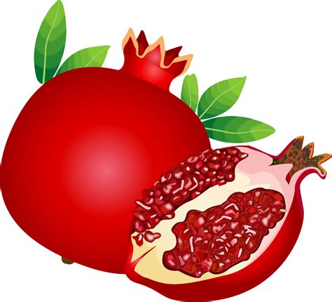 Page 2 for Pomegranate clipart - Free Cliparts & PNG - Pomegranate pomegranate seed, Pomegranate ...