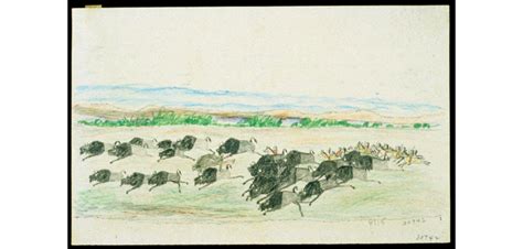 A closer look at the Plains Indian Ledger Drawings for American Indian ...