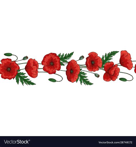 Seamless brush border red poppy flowers Royalty Free Vector