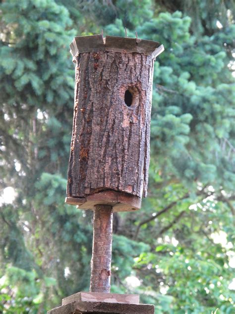 Bea that as it Mae.....: The Nuthatches and the Log Bird House