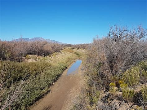 Science Gets Up to Speed on Dry Rivers - Eos